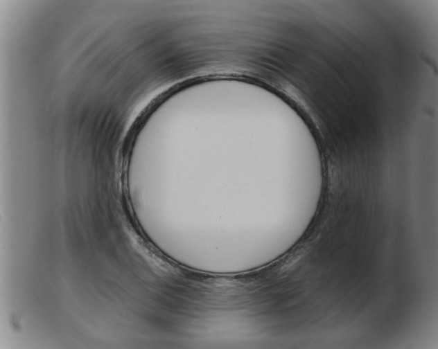 X0000103961124200809191328