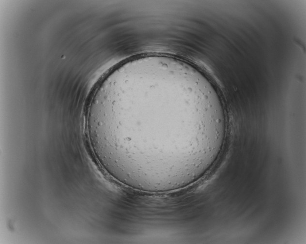X0000103961125200809191328