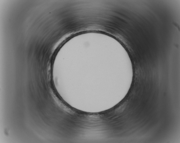 X0000103961126200809191328