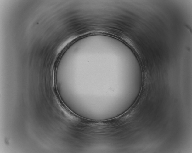 X0000103961127200809191328