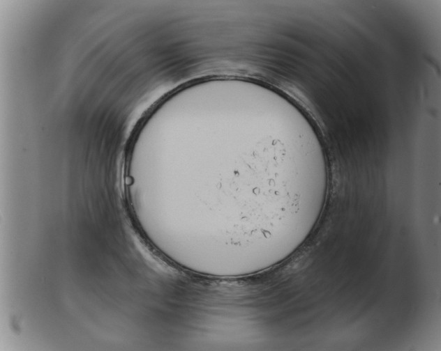 X0000103961128200809191328