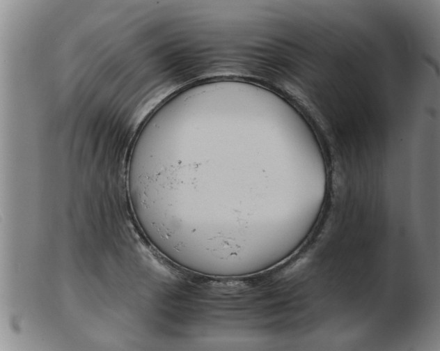 X0000103961129200809191328