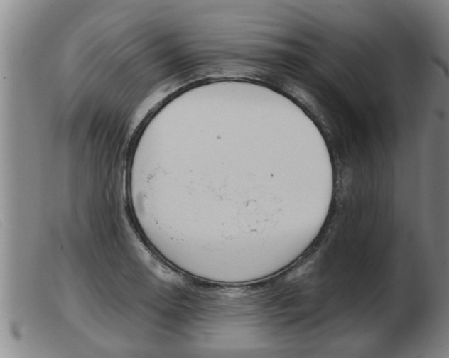X0000103961130200809191328