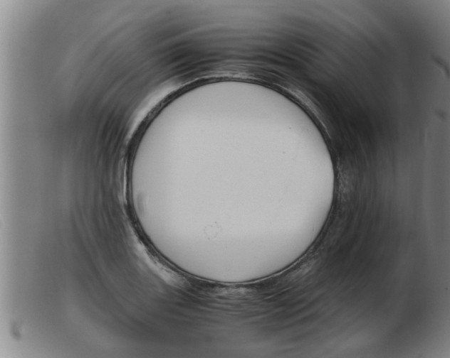 X0000103961131200809191328