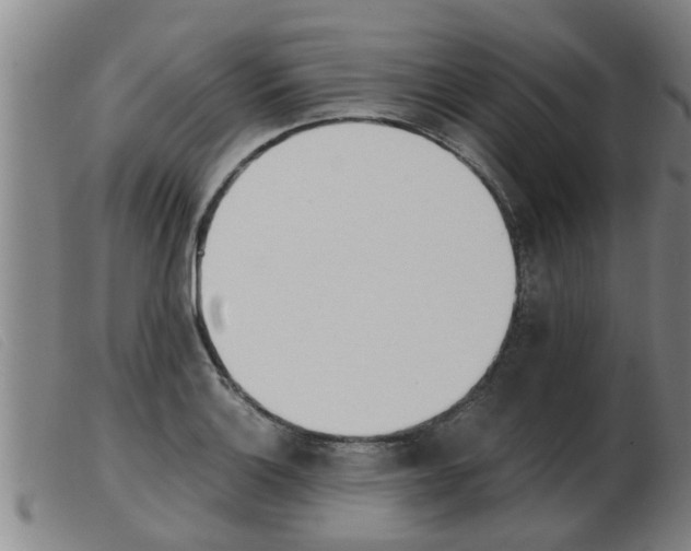 X0000103961132200809191328