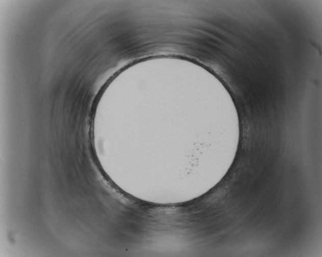 X0000103961134200809191328