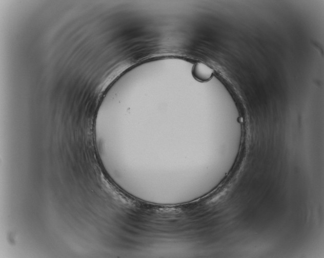 X0000103961137200809191328