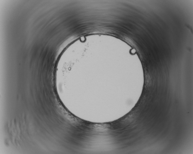 X0000103961138200809191328
