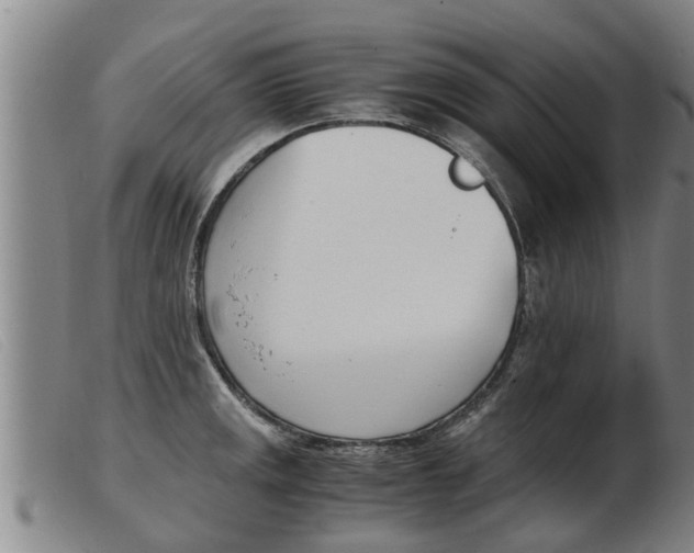 X0000103961141200809191328