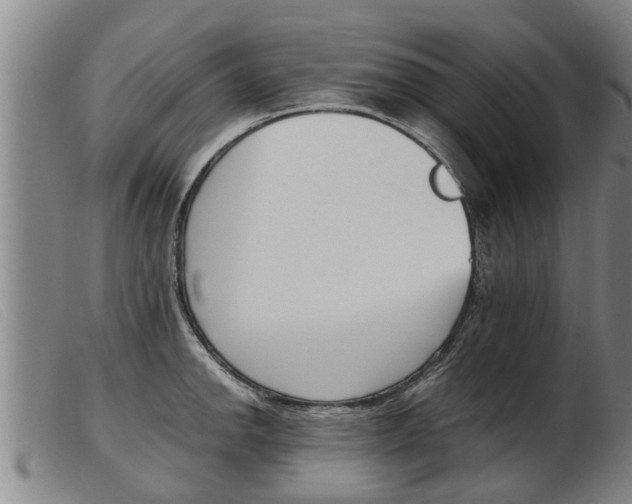 X0000103961142200809191328
