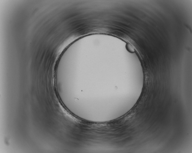 X0000103961143200809191328