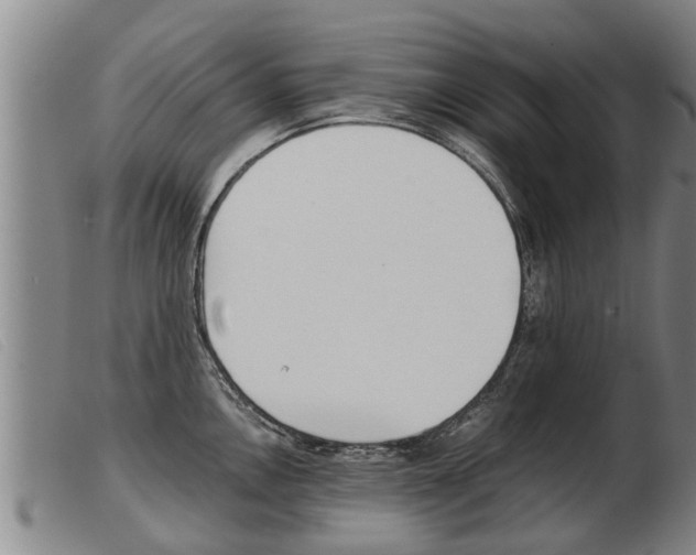 X0000103961146200809191328