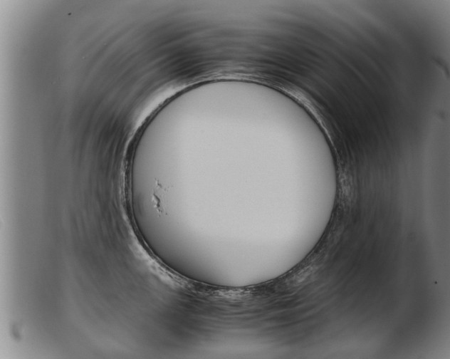 X0000103961147200809191328