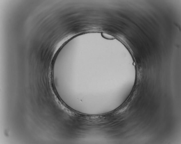 X0000103961149200809191328