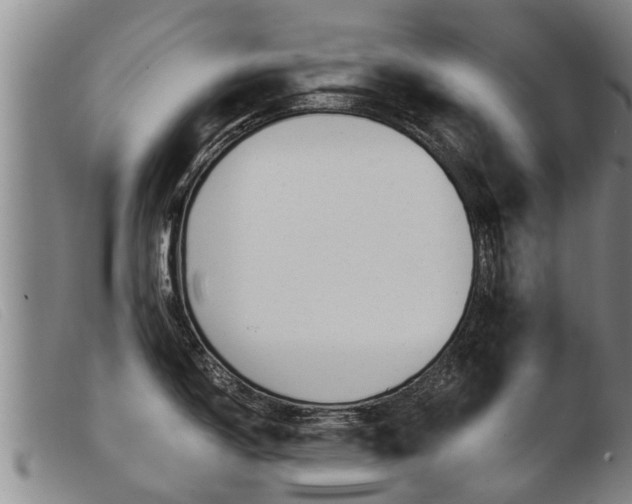 X0000103961150200809191328