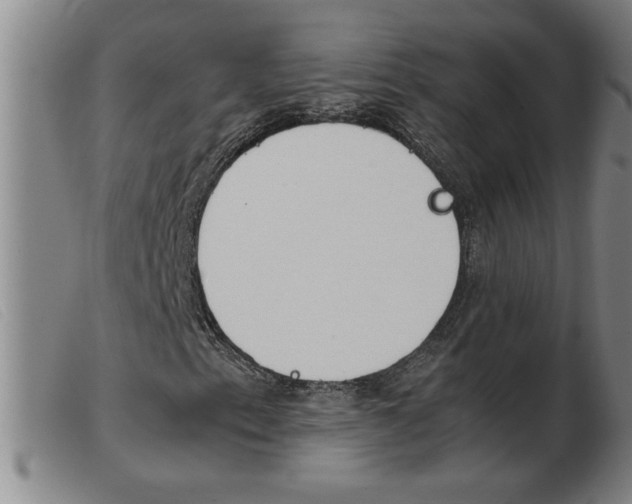 X0000103961153200809191328
