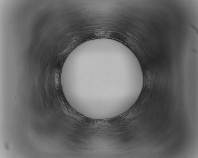 X0000103961154200809191328