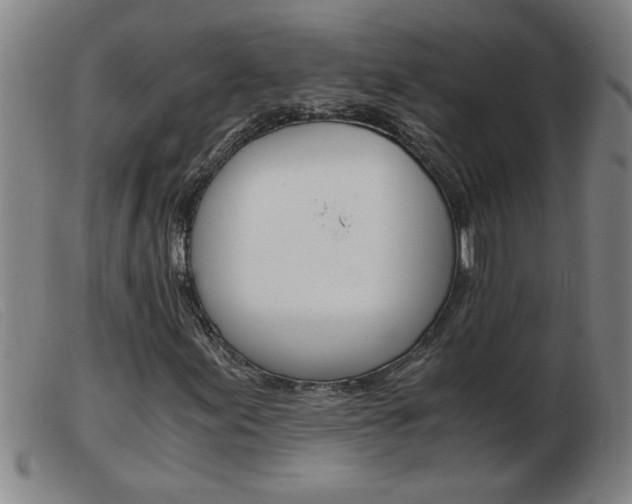 X0000103961155200809191328