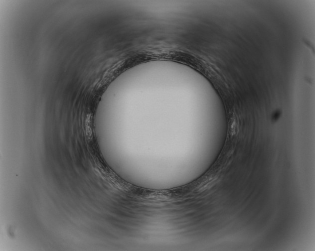 X0000103961156200809191328