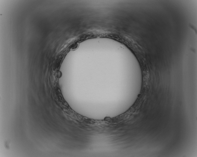 X0000103961157200809191328