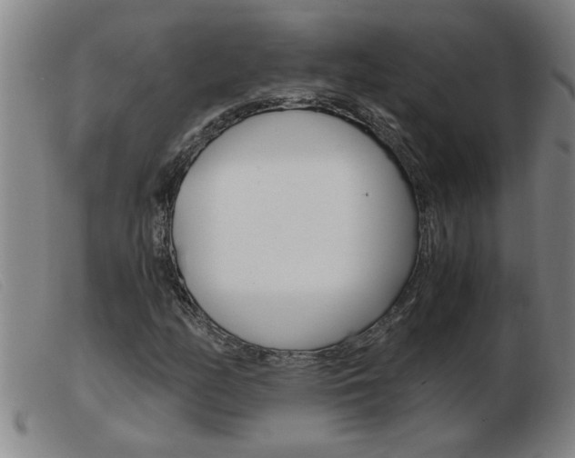 X0000103961158200809191328