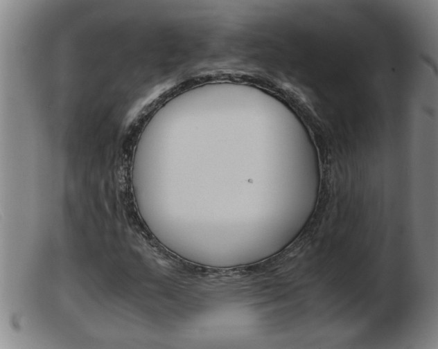 X0000103961159200809191328