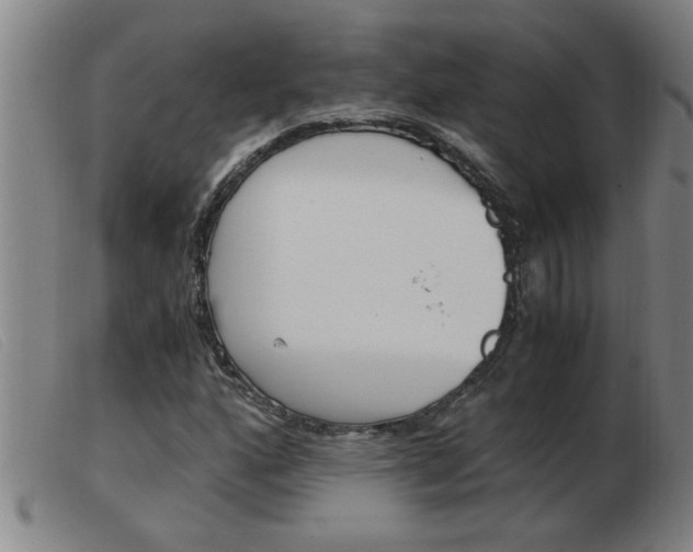 X0000103961160200809191328