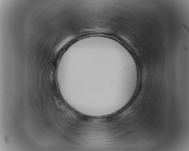 X0000103961163200809191328