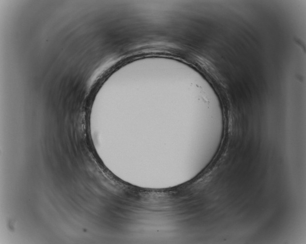 X0000103961164200809191328