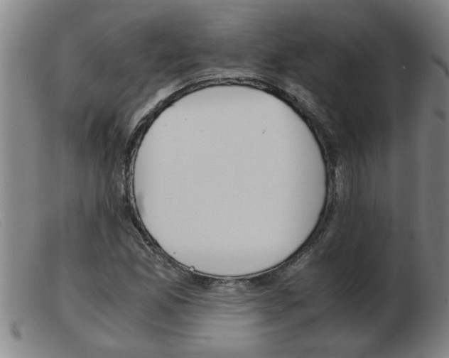 X0000103961165200809191327