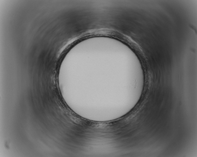X0000103961166200809191327