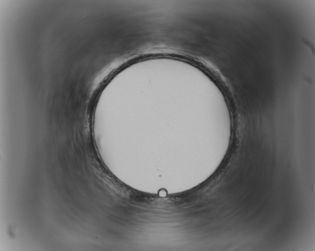 X0000103961167200809191327