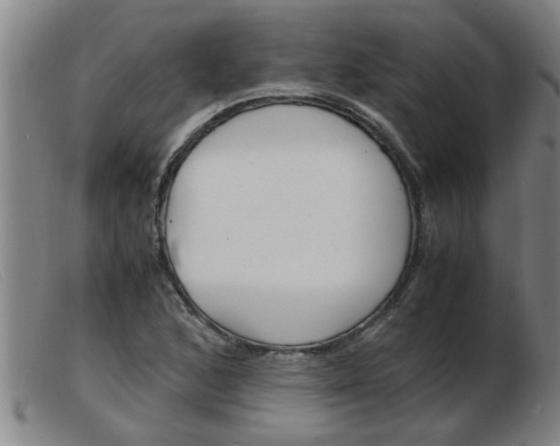 X0000103961168200809191327