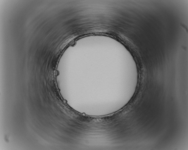 X0000103961169200809191327