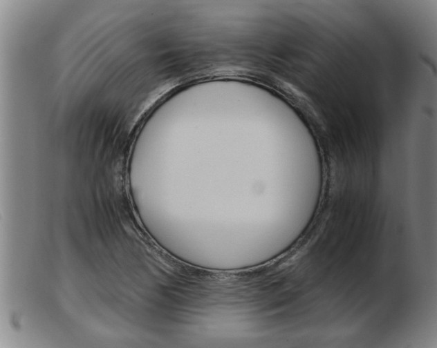 X0000103961170200809191327