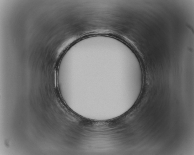 X0000103961171200809191327