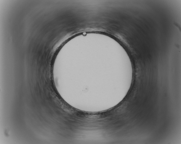 X0000103961173200809191327