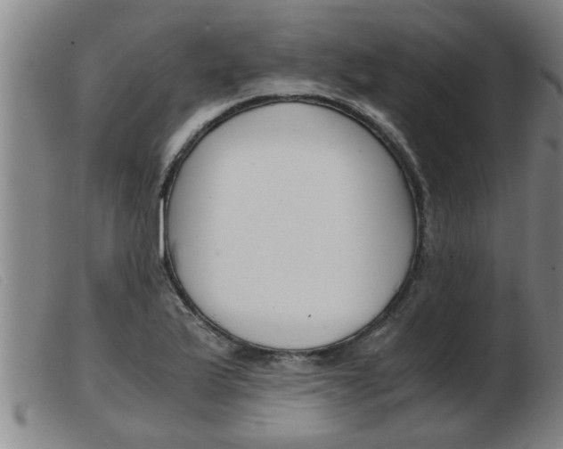 X0000103961175200809191327
