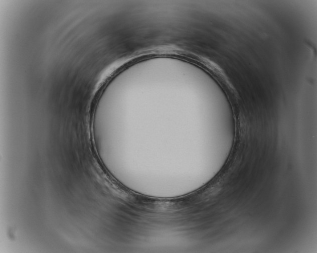 X0000103961176200809191327