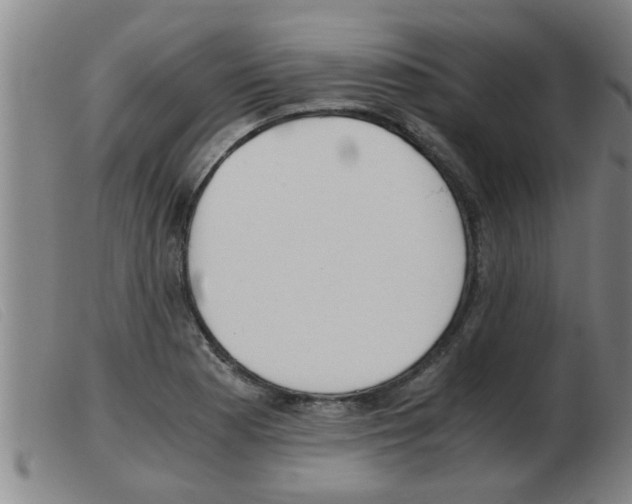 X0000103961177200809191327