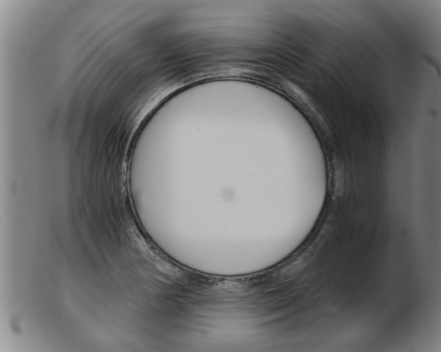 X0000103961178200809191327