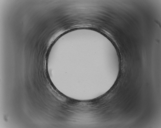 X0000103961179200809191327
