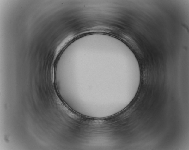 X0000103961180200809191327