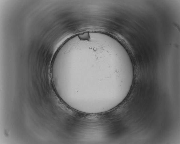 X0000103961182200809191327