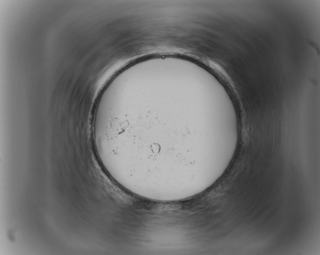 X0000103961183200809191327