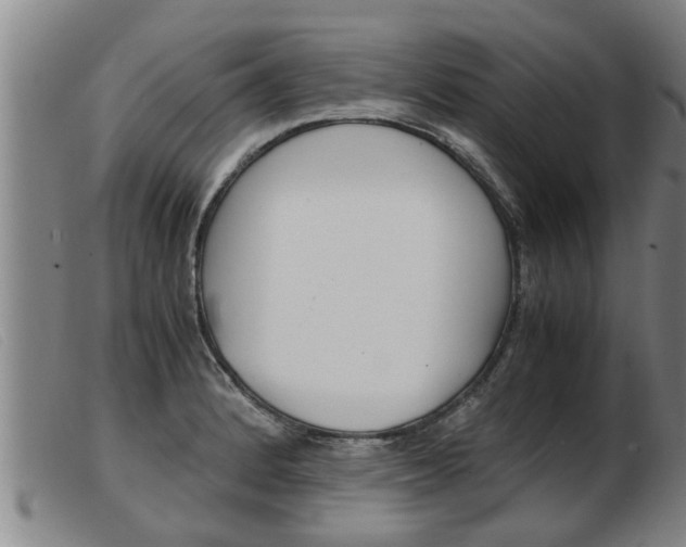 X0000103961184200809191327