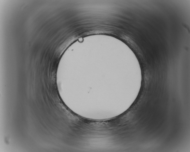 X0000103961185200809191327