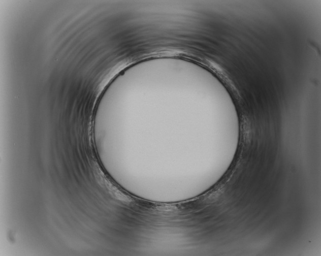 X0000103961186200809191327