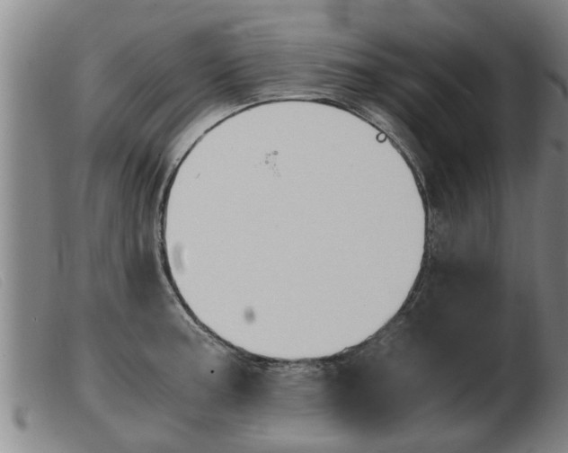 X0000103961187200809191327