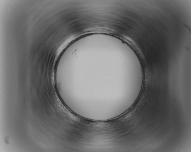 X0000103961188200809191327